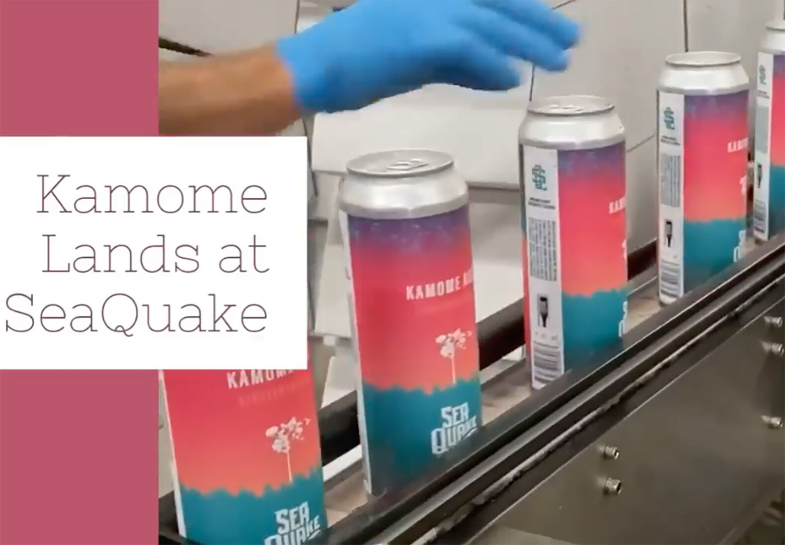 Kamome Ale debuts as tribute to sister city in Japan